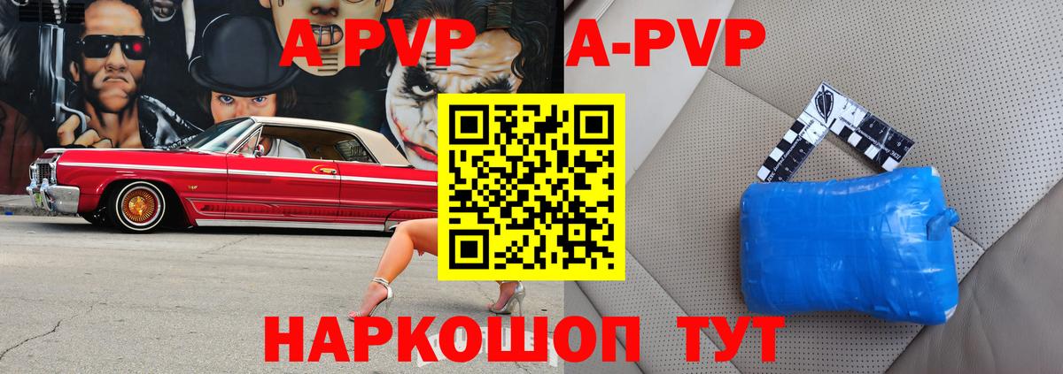 A PVP СК Бердск