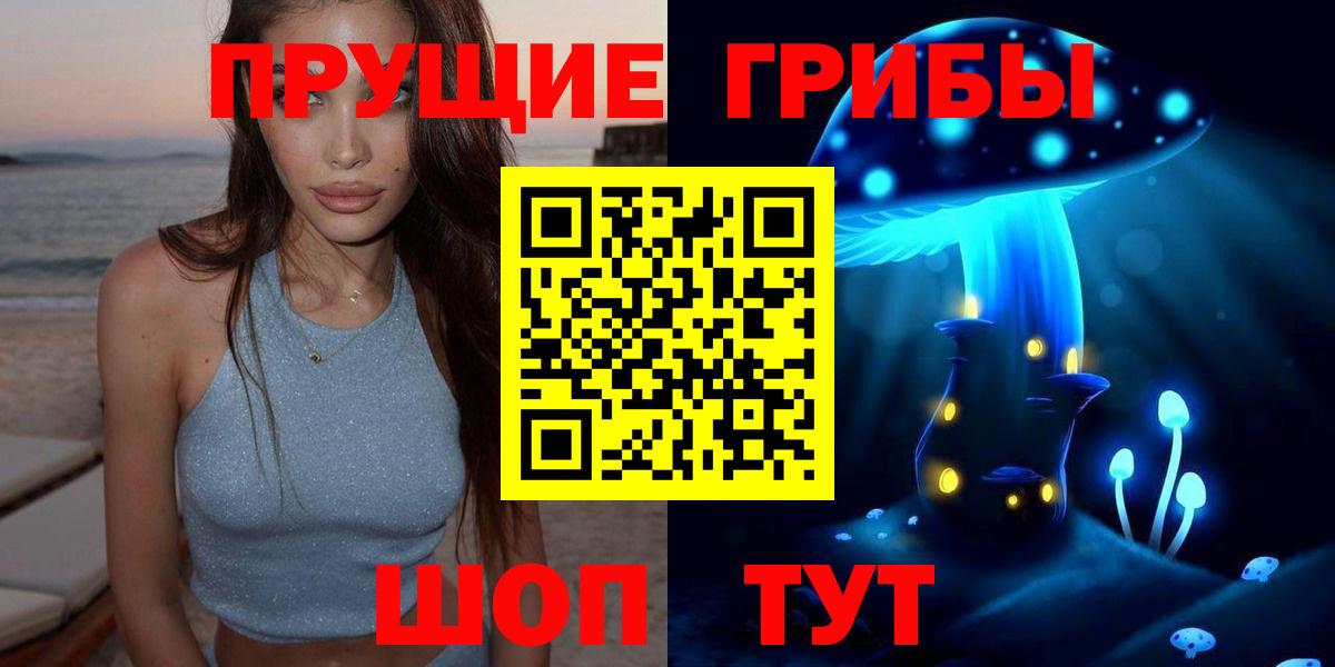Бердск  наркота  Вход с VPN  Галлюциногенные грибы Psilocybine cubensis 